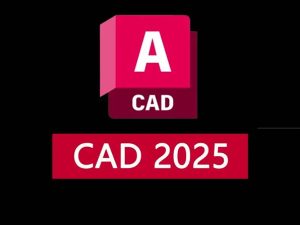 CAD 2025-云顶资源网