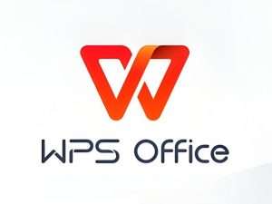 WPS2019专业增强版-v11.8.2.12187-永久授权版-云顶资源网